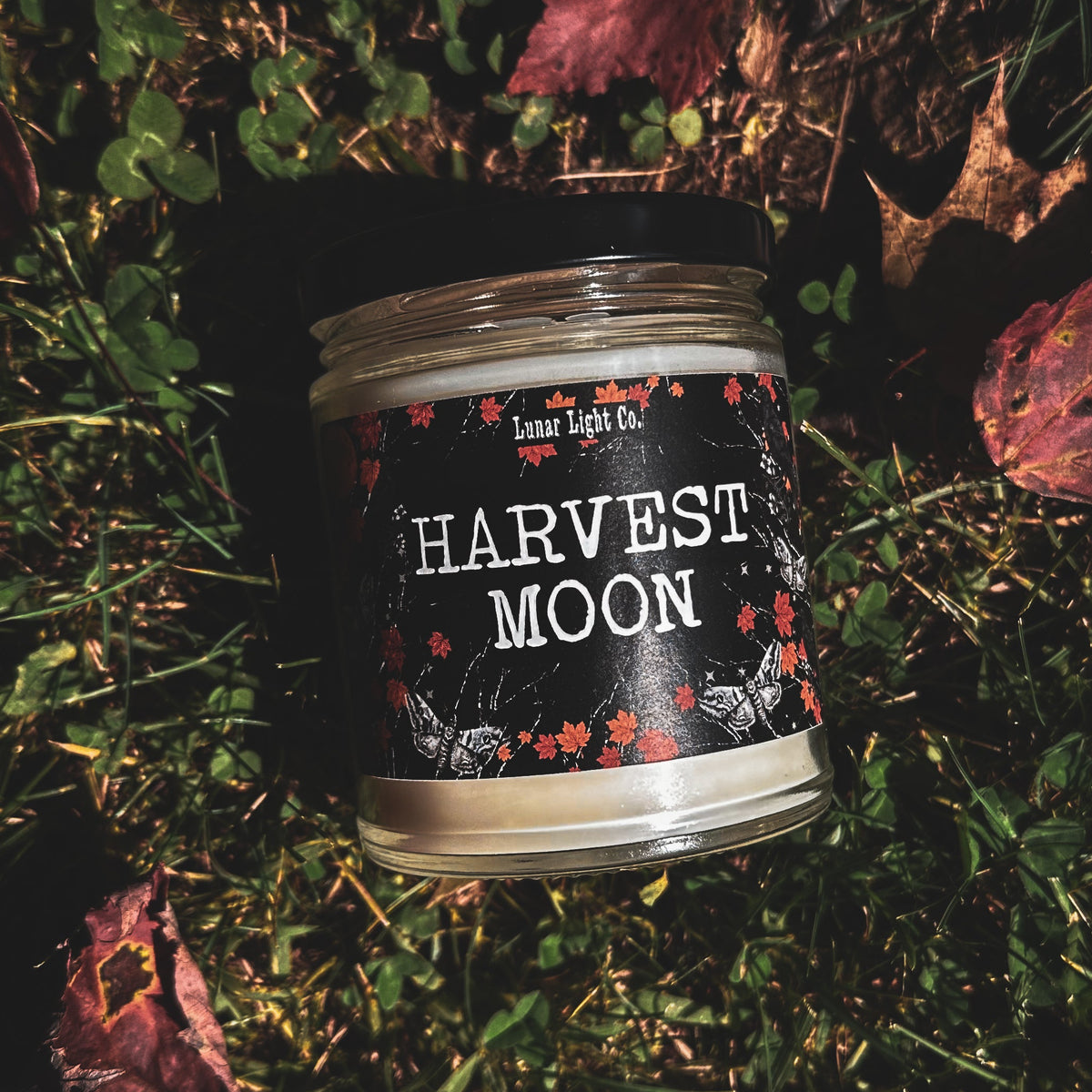 Harvest Moon - Red Apple + Ginger