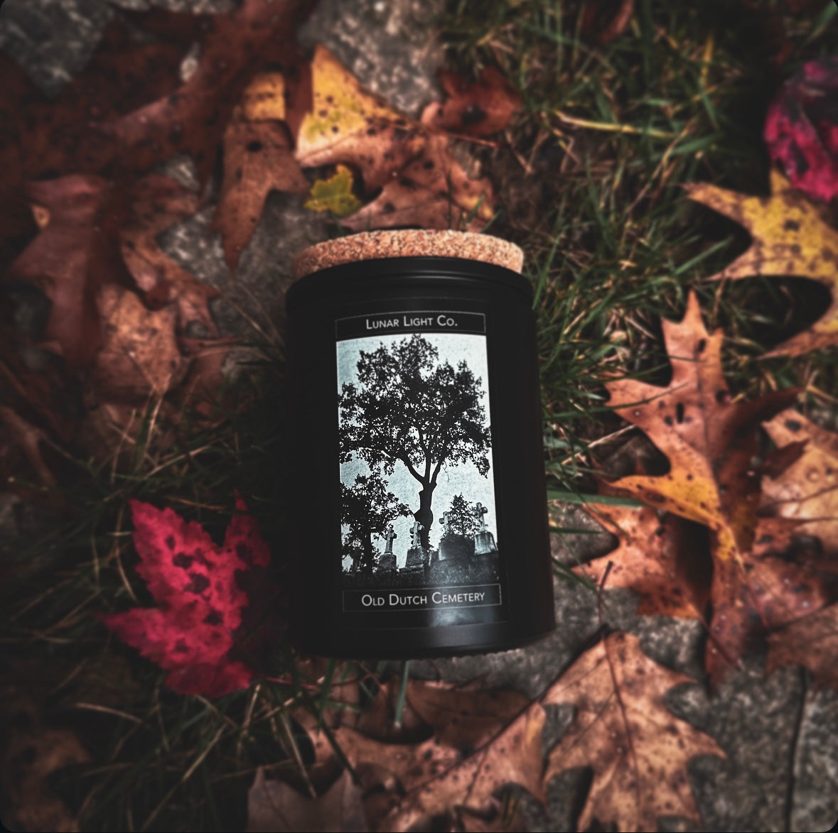 Old Dutch Cemetery - Cemetery Photo Collection - Fallen Leaves + Dried Branches