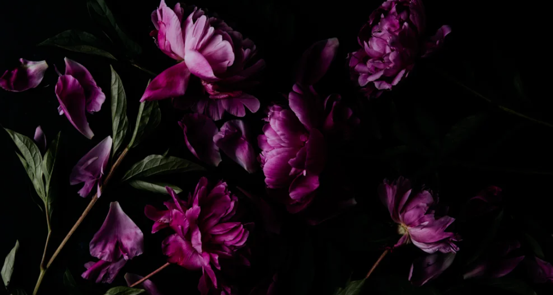 Spring Magic Collection