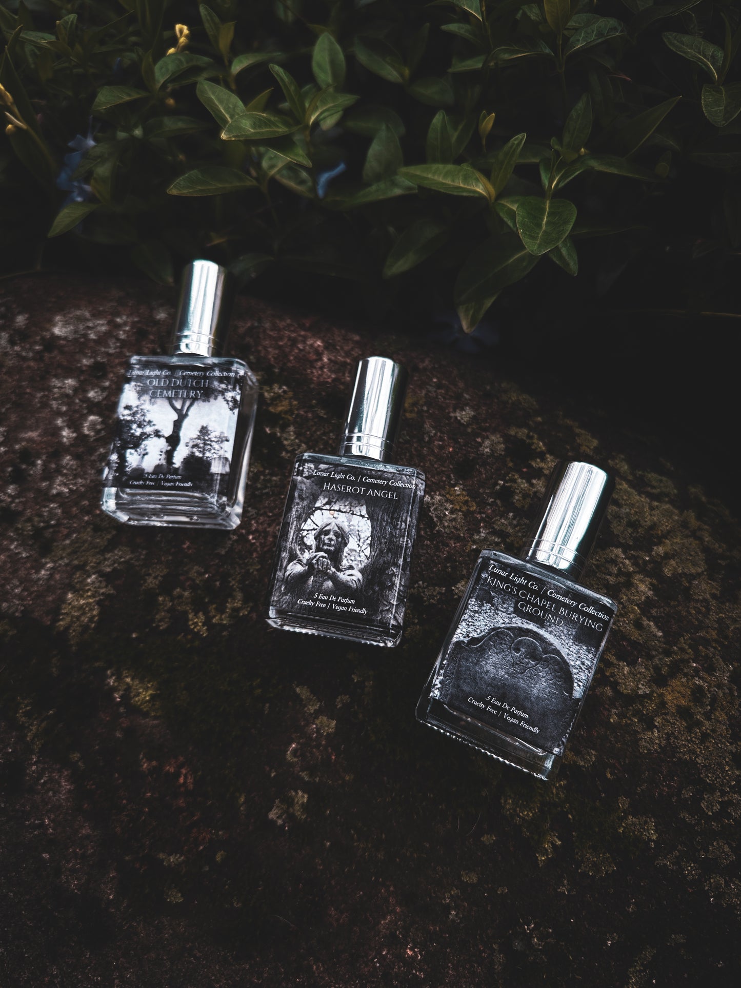 Gothic Perfumes displayed in earthy setting