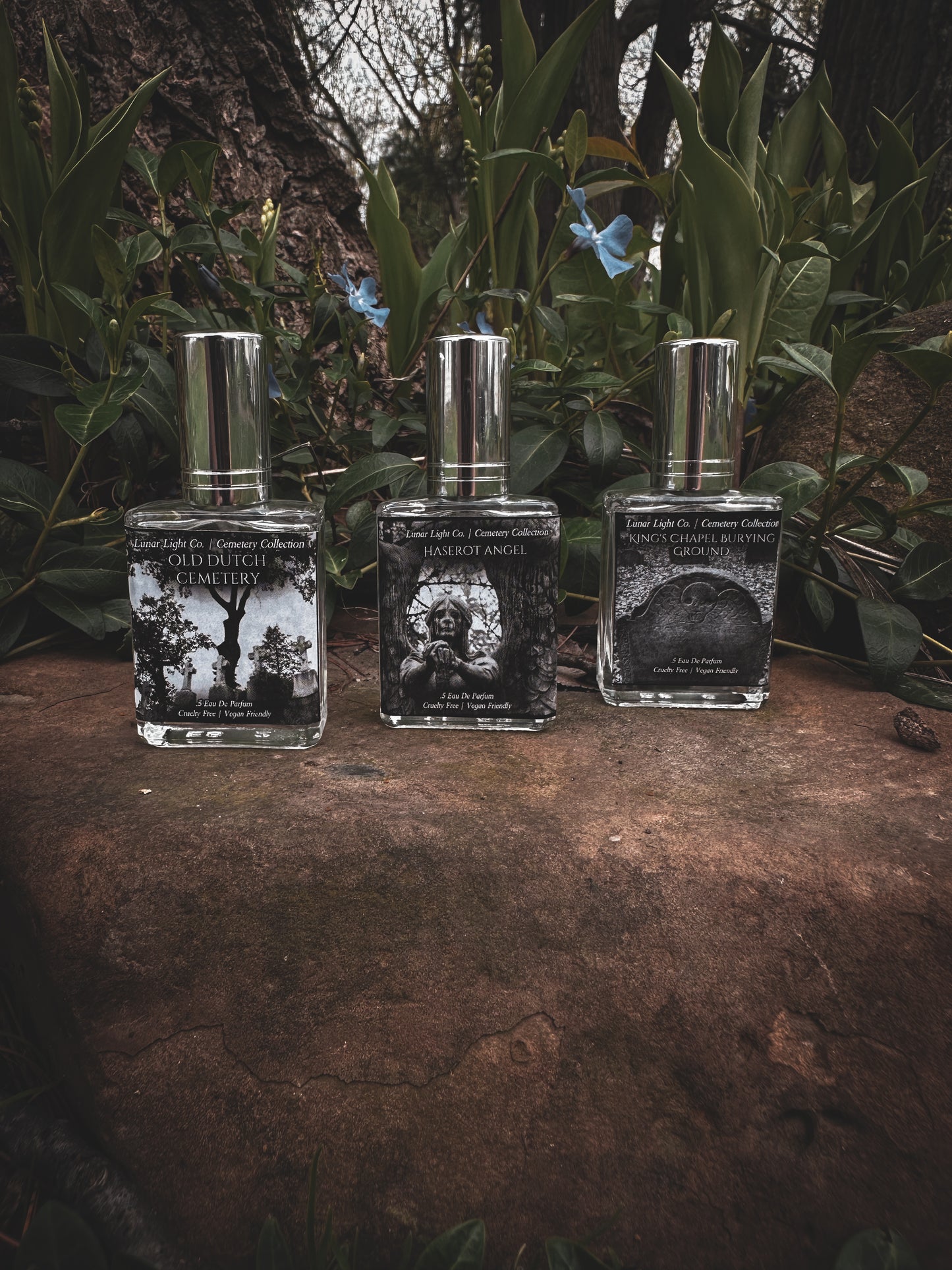 Gothic Perfumes displayed in earthy setting