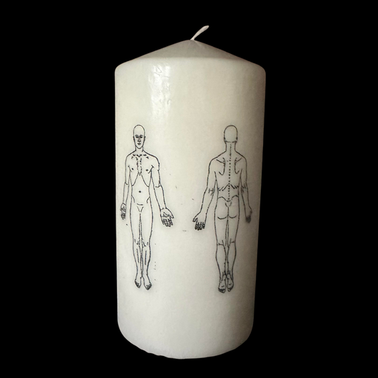 Anatomical - Decor Candle