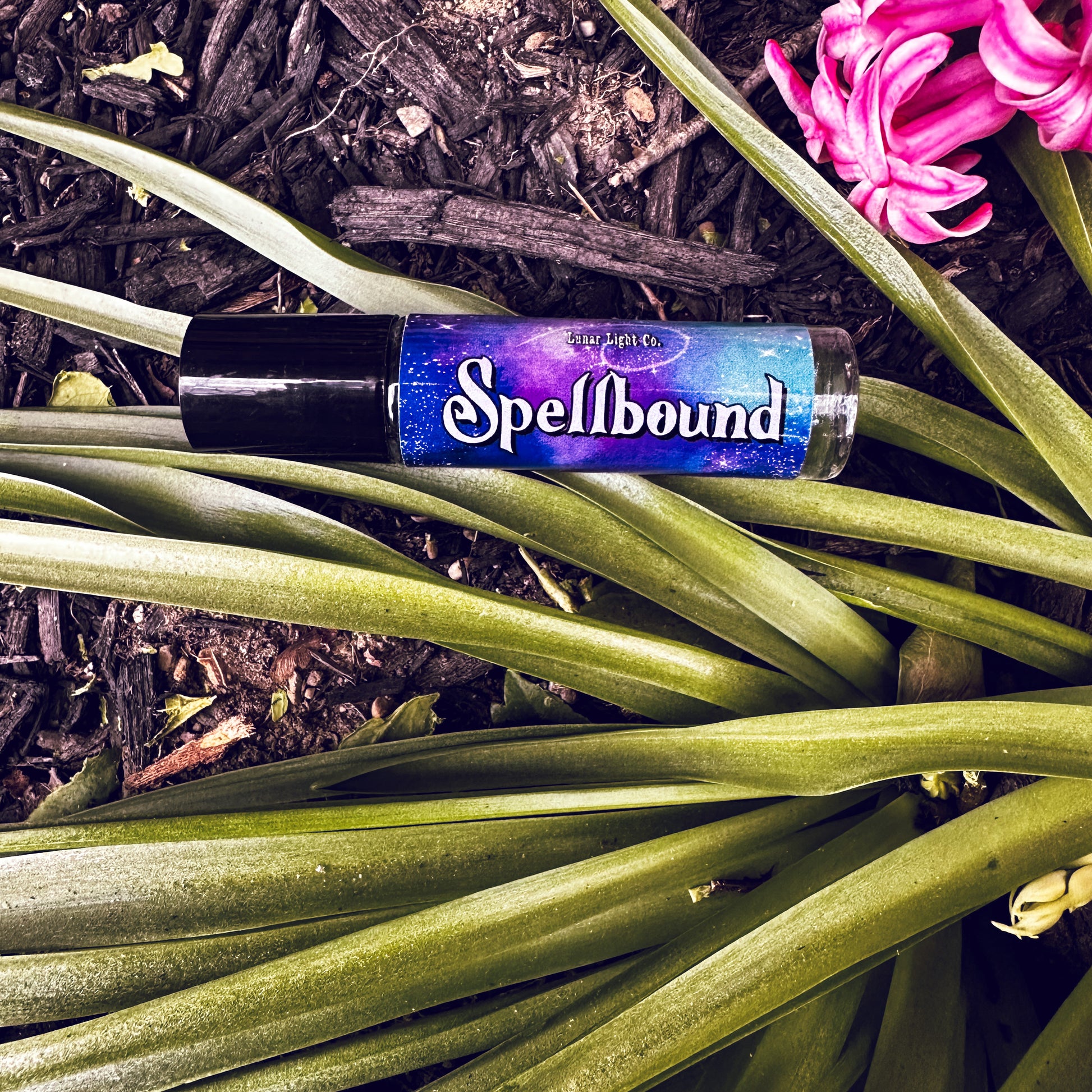 Spellbound Perfume in garden
