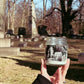 Old Cemetery - Dirt & Grass